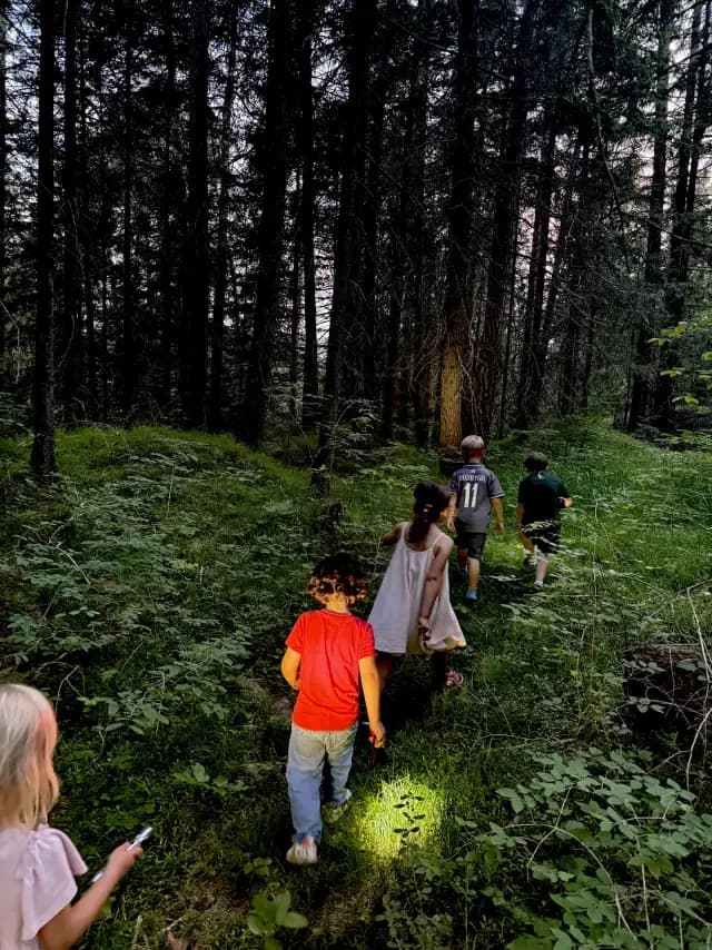 Faszination Wald