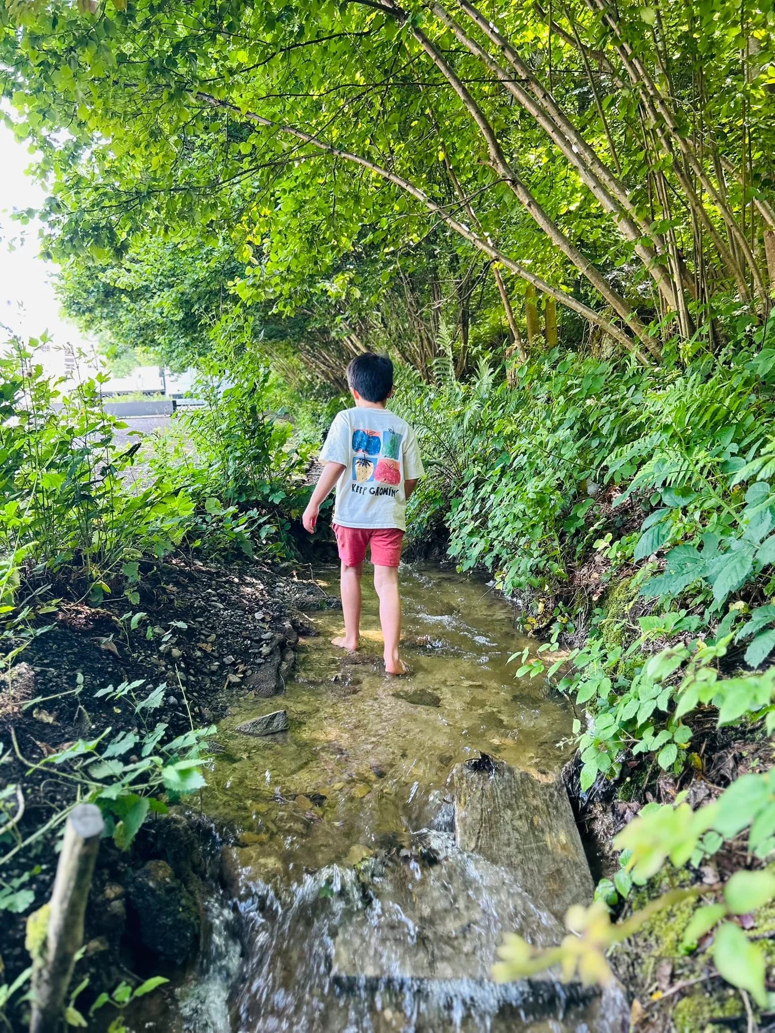 Barfuss am Bach